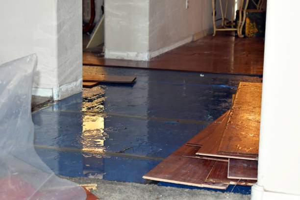 Professional Burst Pipe Cleanup technician working in Mayville, NY